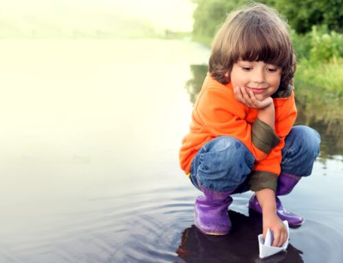 ¿Por qué los barcos en mi web?
